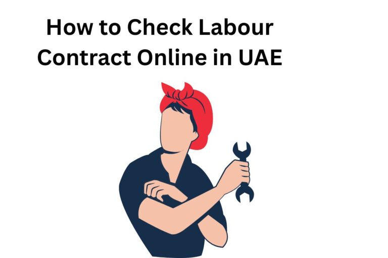 How to Check Labour Contract Online in UAE